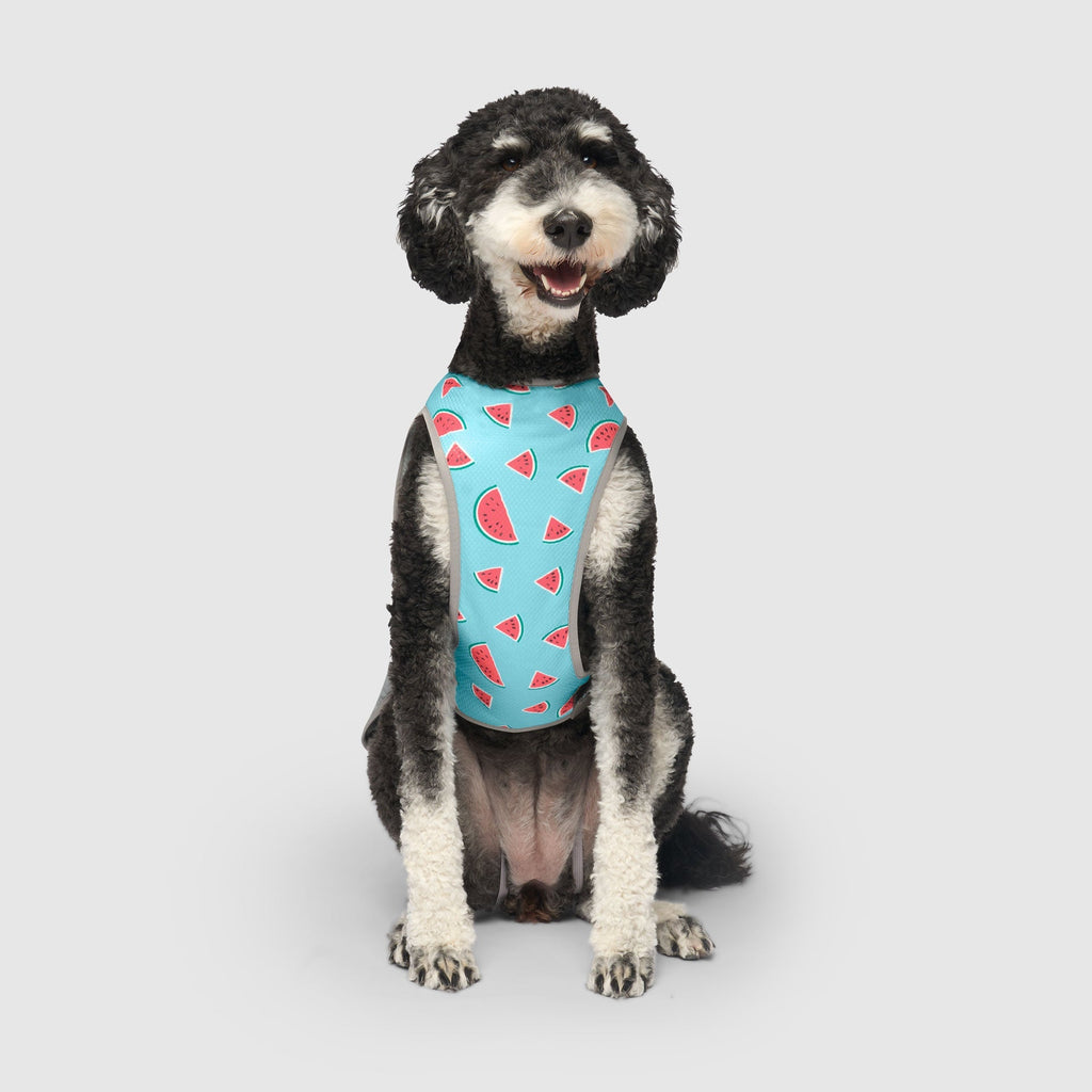 Chill Seeker Cooling Vest