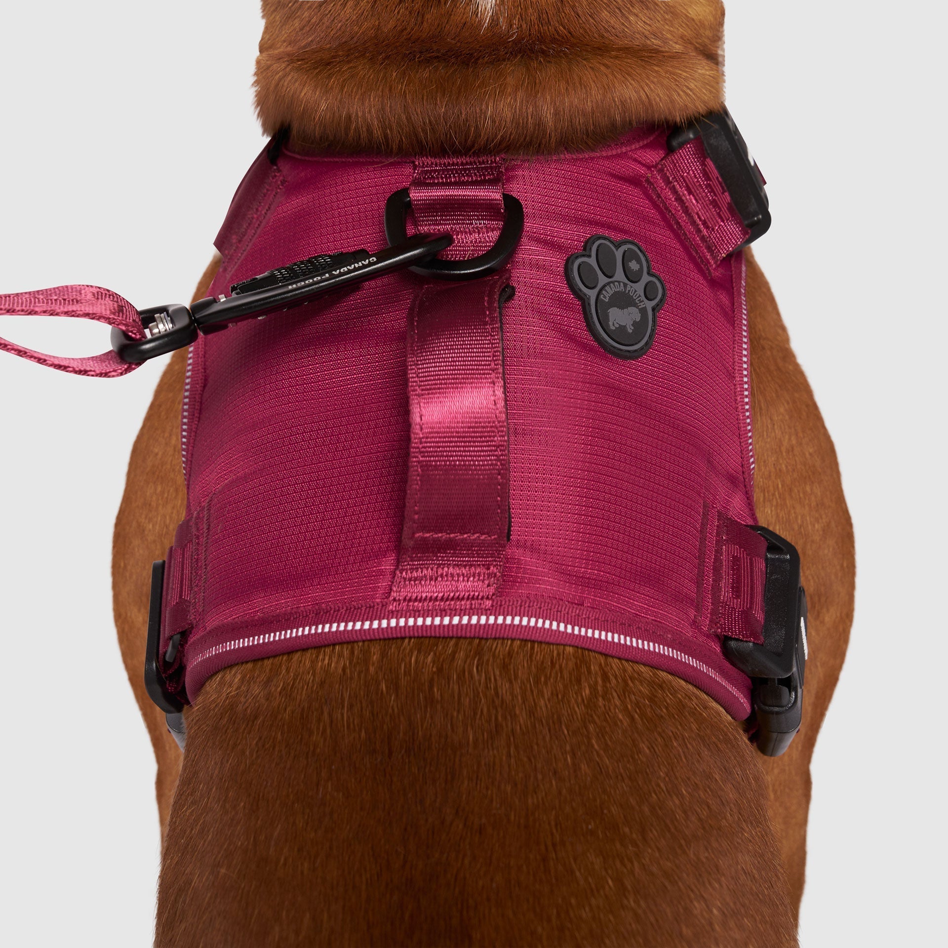 Complete Control Harness