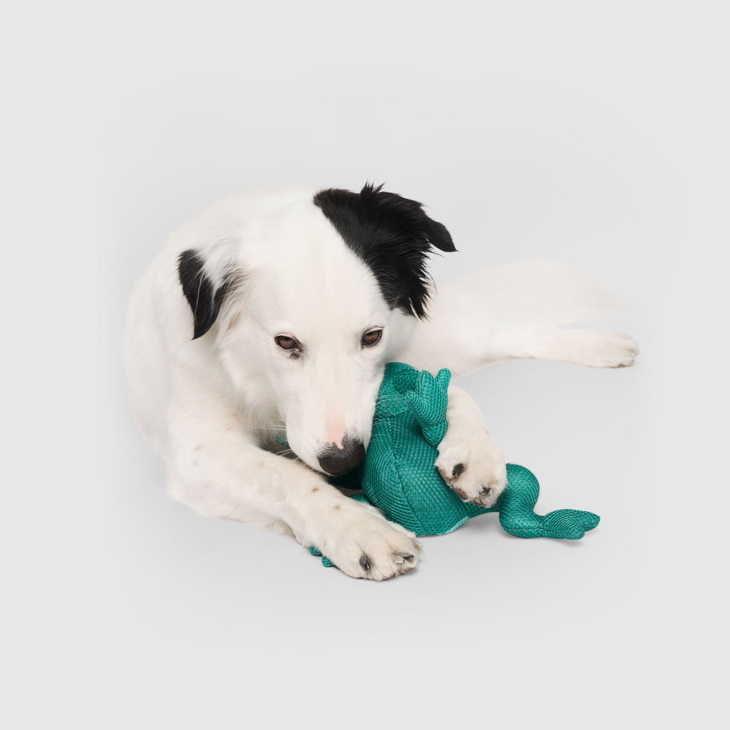 Freeze & Chill Cooling Pal Toy