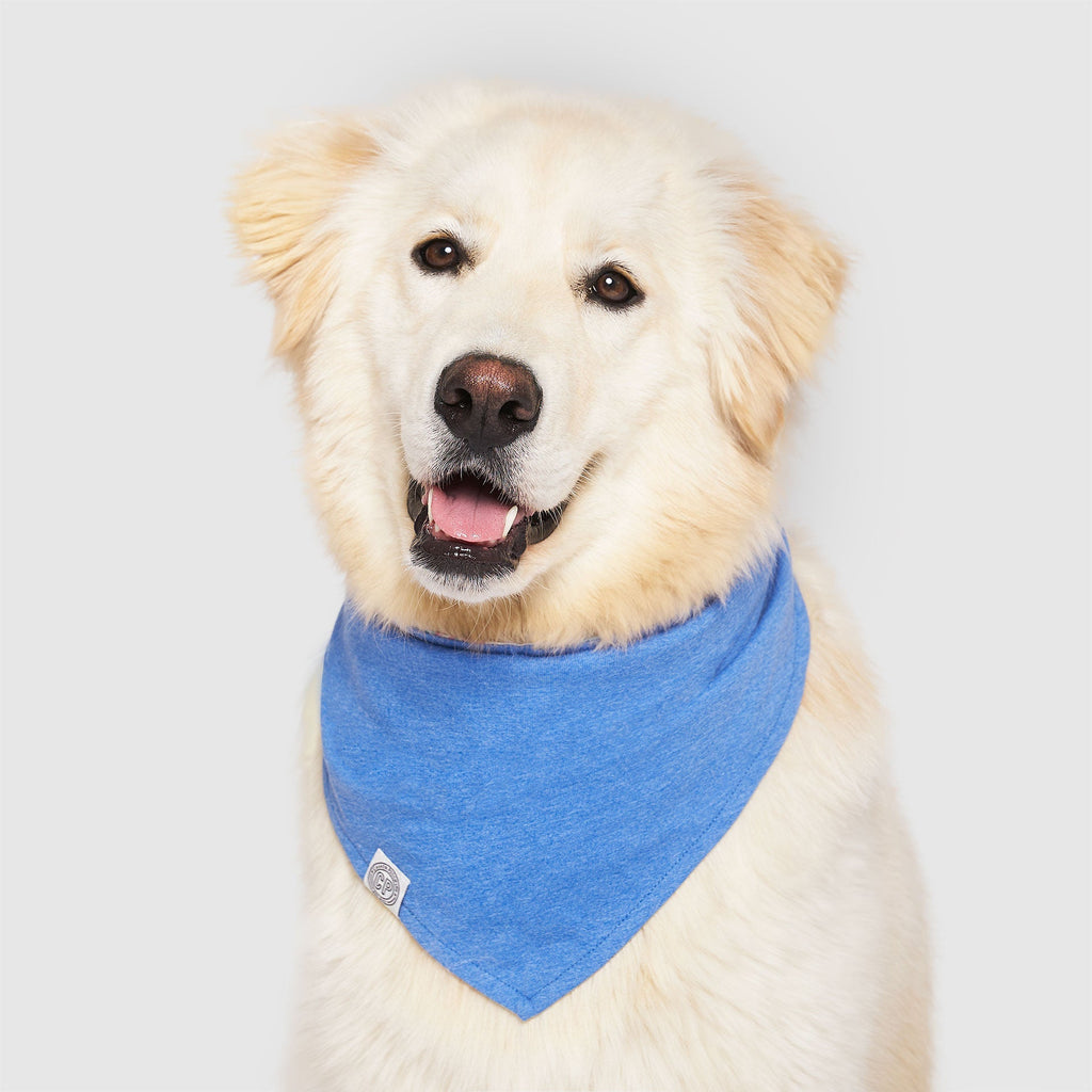 Follow Me Bandana